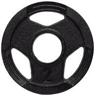 Anilha Sport Pintada 2kg